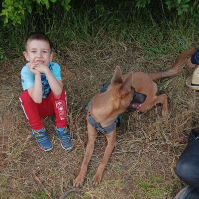 Hundetreffen-Lindleismühle-Bild