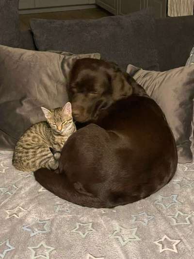 Kroatien Urlaub-Beitrag-Bild