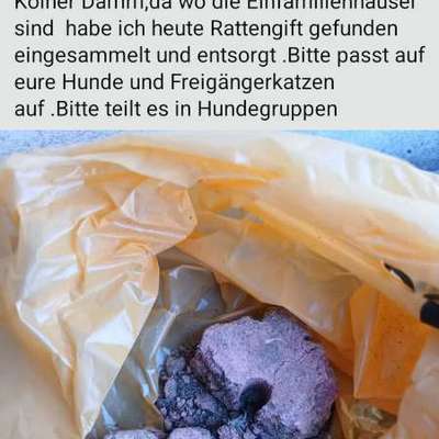 Giftköder-Rattengift auf dem Feld-Bild