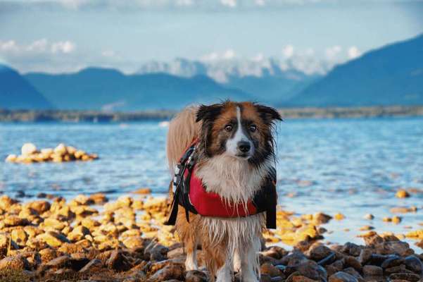 Lieblingsbild-Beitrag-Bild