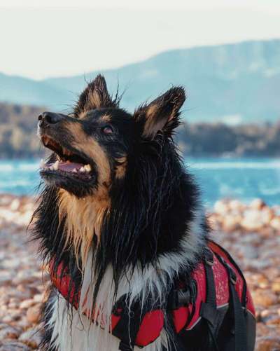 Lieblingsbild-Beitrag-Bild