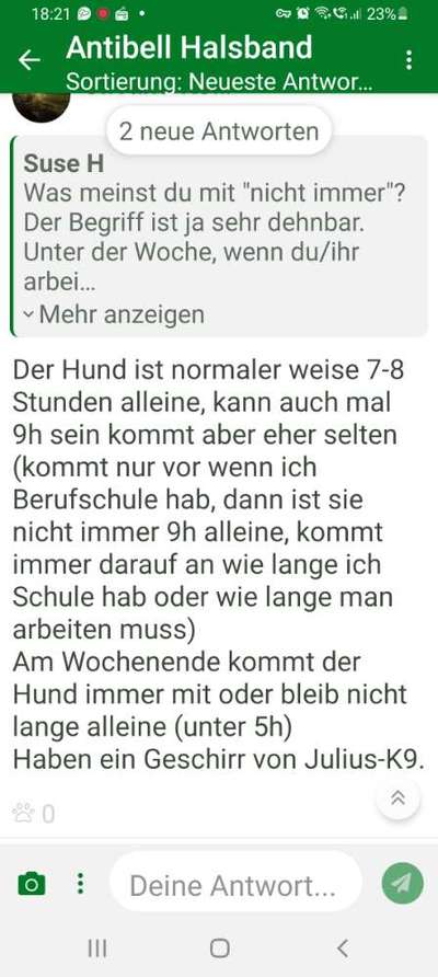 Antibell Halsband-Beitrag-Bild