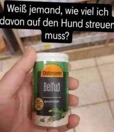 Unangeleinte Tut-Nixe und Hallo-Sager..-Beitrag-Bild