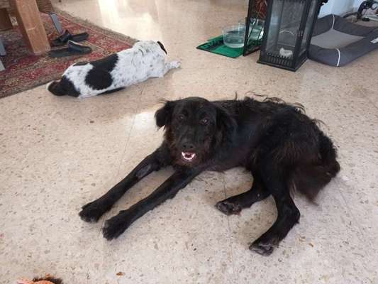 DNA Test-Beitrag-Bild