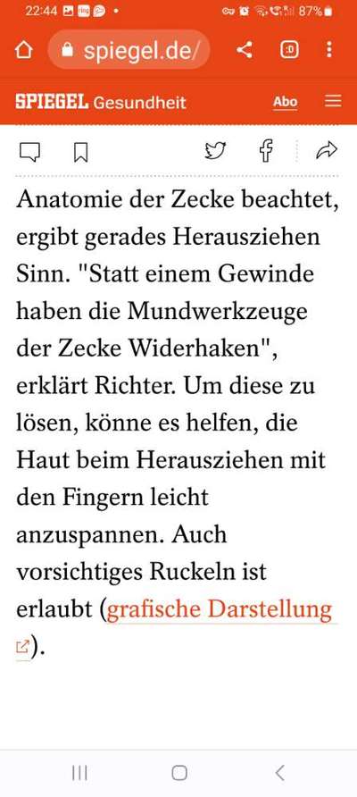 Zeckenschutz ohne Chemie-Beitrag-Bild