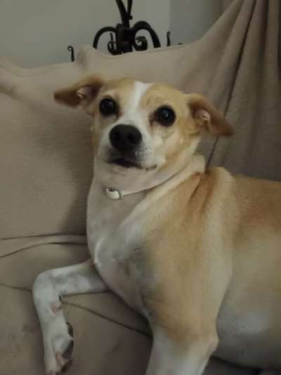 DNA Test-Beitrag-Bild