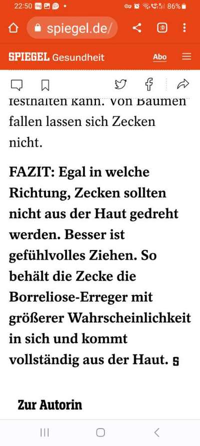 Zeckenschutz ohne Chemie-Beitrag-Bild