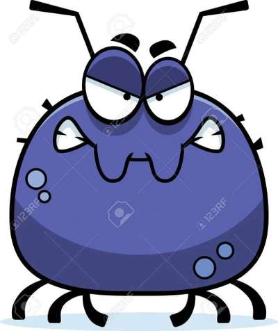 Wer kennt dieses Tier?-Beitrag-Bild