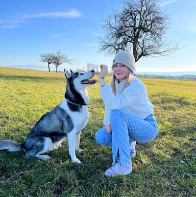 Hundetreffen-Treffen in Stockach und Umgebung