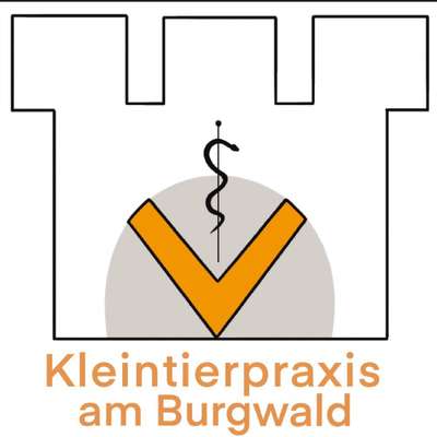 Tierärzte-Kleintierpraxis am Burgwald-Bild