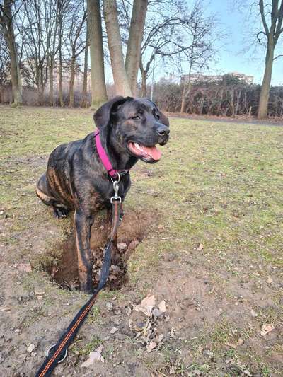 Geschwistersuche von Elsa-Beitrag-Bild