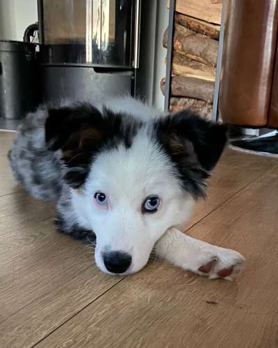 147. Foto Challenge: Bettelblick-Beitrag-Bild