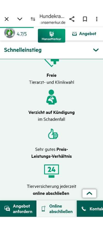 Hundekrankenversicherung-Beitrag-Bild