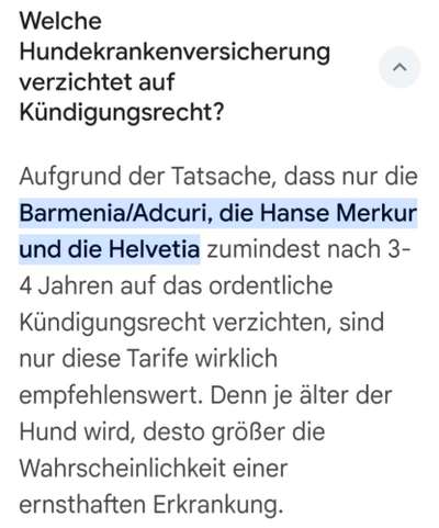 Hundekrankenversicherung-Beitrag-Bild