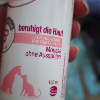 Vielleicht Juckreiz-Beitrag-Bild