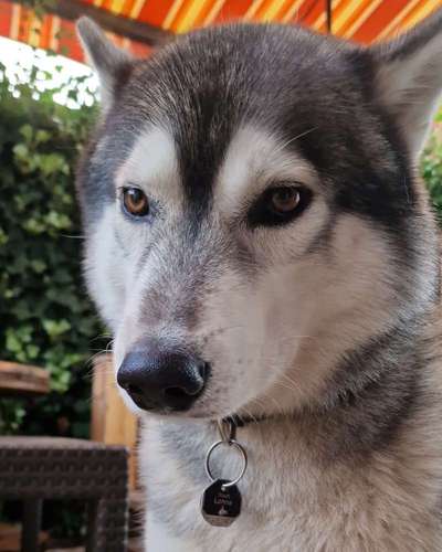 23. Handy Foto-Challenge-Beitrag-Bild