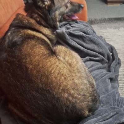 Wie habt ihr den Silvesterabend verbracht?-Beitrag-Bild