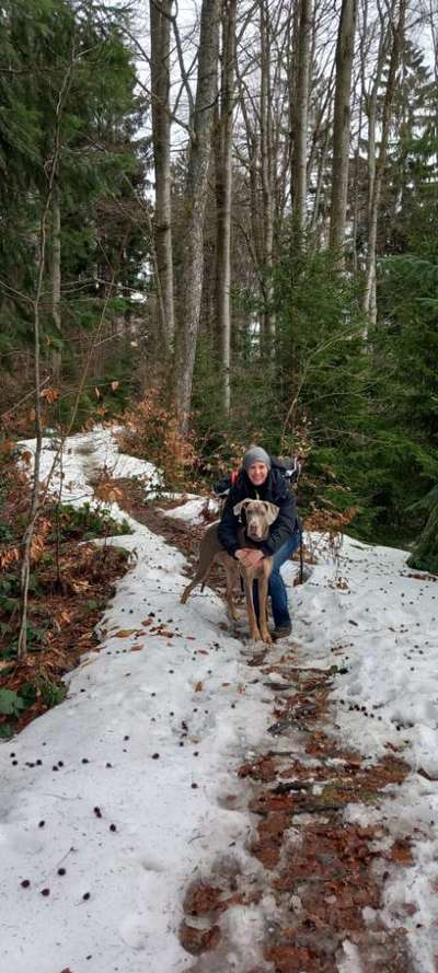 Hundetreffen-Gassifreunde im Raum Abensberg-Bild