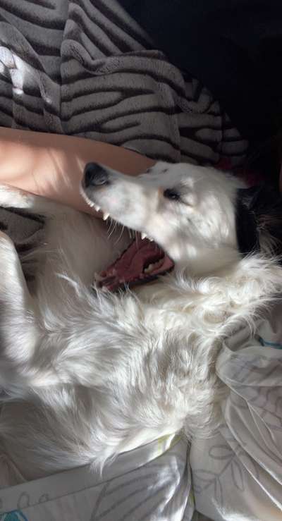 Lustige Grimassen & verrückte Posen-Beitrag-Bild