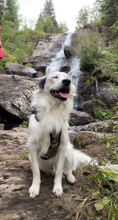 Foto Challenge Nr. 79-Beitrag-Bild