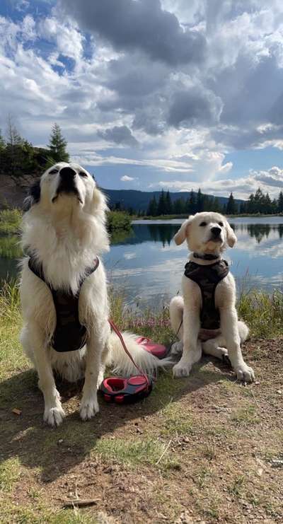 Fotowettbewerb Natur-Beitrag-Bild