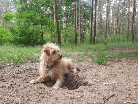 Fotochallenge No. 26                                     Wald und Wiese-Beitrag-Bild