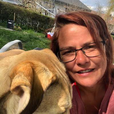 Hundetreffen-Spiel und Gassipartner-Profilbild