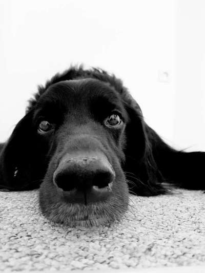 Fotochallenge Nr. 56 - geliebte Senioren-Beitrag-Bild