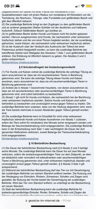 Impfung gegen die Tollwut: Pflicht oder nicht?-Beitrag-Bild