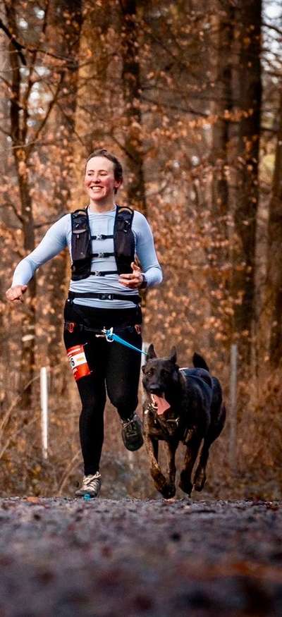 Hundetreffen-CaniCross o. Wandern mit Hund-Bild