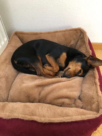 Foto Challenge Nr. 134-Beitrag-Bild