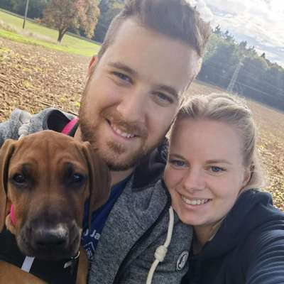 Hundetreffen-Gassirunde in Bretten-Profilbild