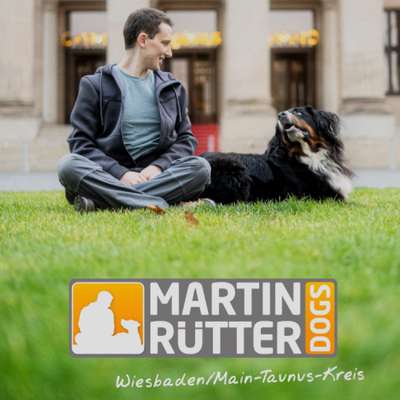 Hundeschulen-Martin Rütter Hundeschule Wiesbaden & Main-Taunus-Kreis-Bild