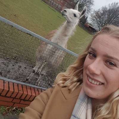 Hundetreffen-Hundespiel im gesichertem Bereich-Profilbild