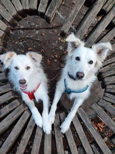 Lieblingsbild-Beitrag-Bild