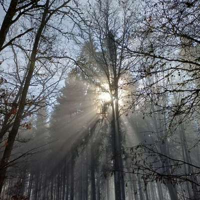 aktuelles Foto Gruppe Wandern und Outdoor