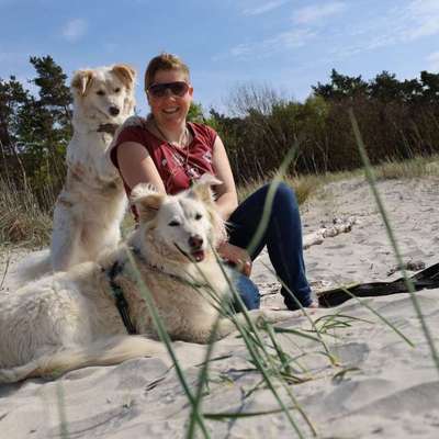 aktuelles Foto Gruppe Reisen mit Hund