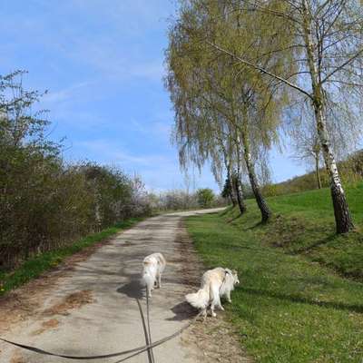 aktuelles Foto Gruppe Wandern und Outdoor