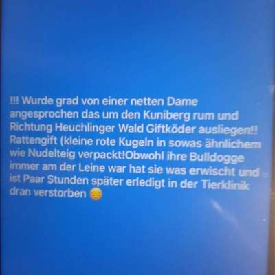 Giftköder-Eventuell Giftköder Kunigundenberg-Bild