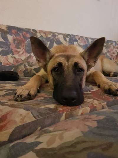 Fotochallange Nr. 57     PORTRÄT.   Beendet!!!!!!!!-Beitrag-Bild