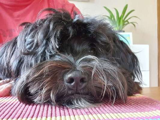 Fotochallange Nr. 57     PORTRÄT.   Beendet!!!!!!!!-Beitrag-Bild