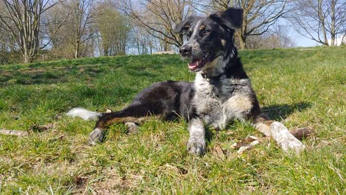 Fotowettbewerb Natur-Beitrag-Bild