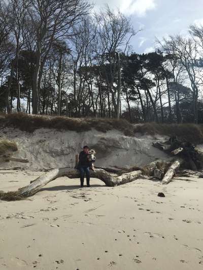 Hundeurlaub In Deutschland-Beitrag-Bild