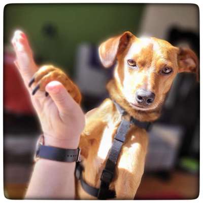 Farben Fotochallenge Sonnenlicht-Beitrag-Bild