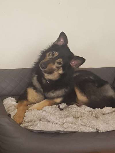 147. Foto Challenge: Bettelblick-Beitrag-Bild