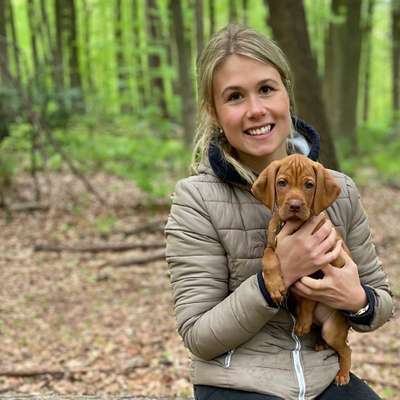 Hundetreffen-Spielkamerad in Lichtenbroich