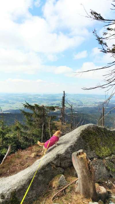 Fotochallenge Nr 107-Beitrag-Bild