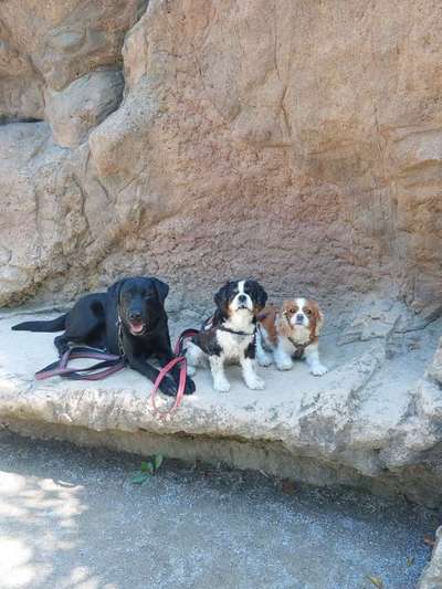 Handy-Foto-Challange Nr. 8-Beitrag-Bild