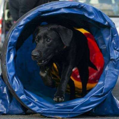 Dogorama Photo Challenge- Höhlen/Tunnel-Beitrag-Bild