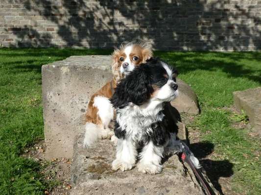 Lieblingsbild-Beitrag-Bild